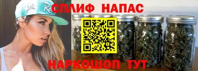 мдпв Славгород