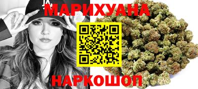 мдпв Славгород