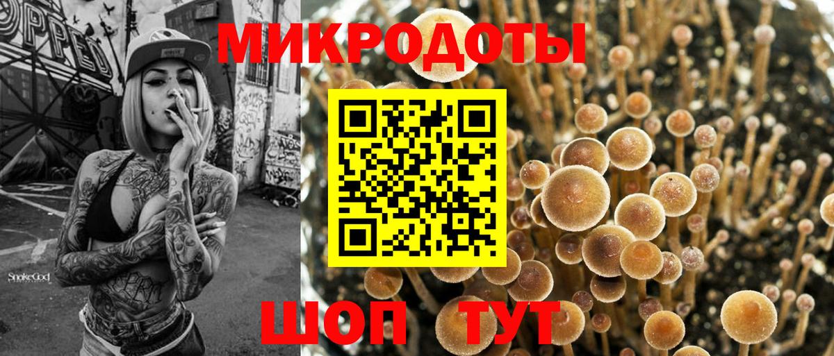Орск  Галлюциногенные грибы Psilocybine cubensis  Галлюциногенные грибы прущие грибы  Вход с VPN 